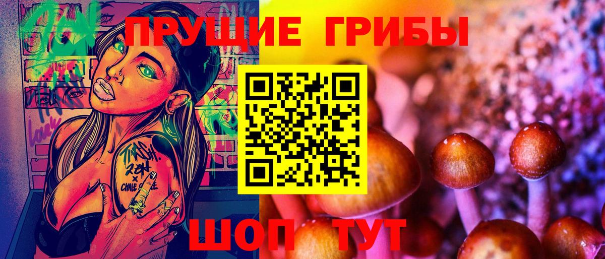 Псилоцибиновые грибы мицелий  Вход с VPN  Назрань 