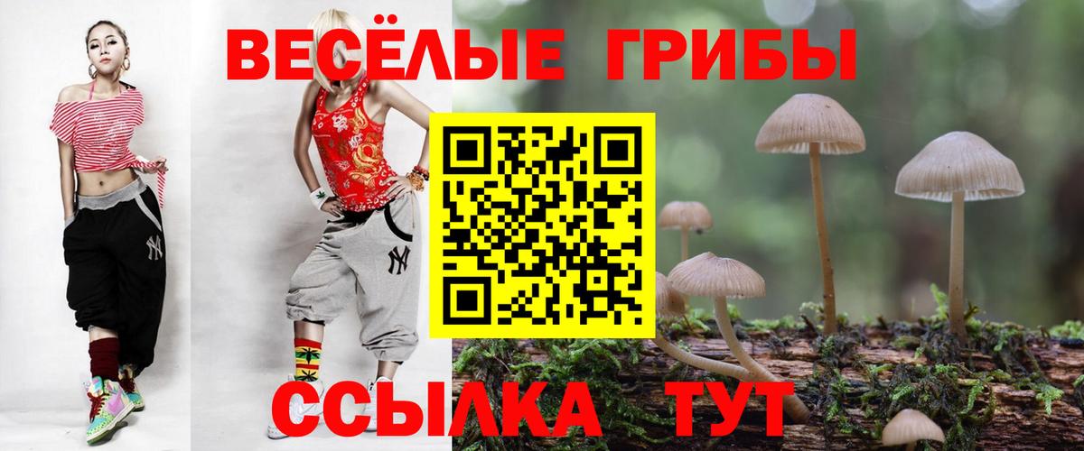Псилоцибиновые грибы прущие грибы Назрань
