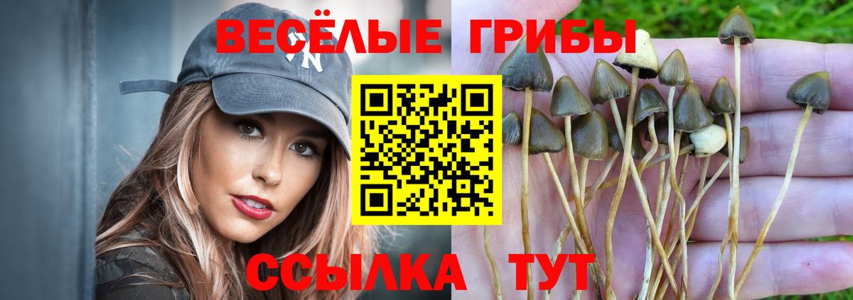 А ПВП СОЛЬ кристаллы  МАРИХУАНА  Назрань  ГАШИШ  МЕФ кристаллы  Вход с VPN 